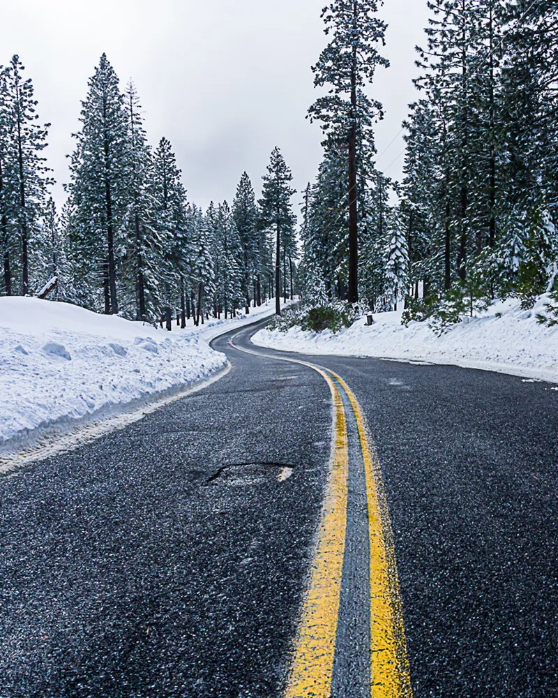 Landscape Photography - Forest